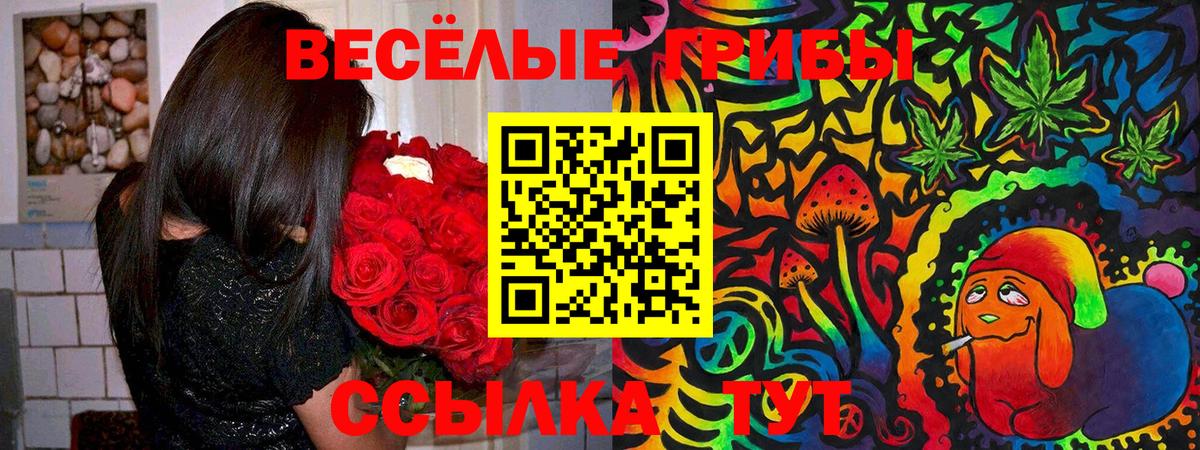 Коломна  Псилоцибиновые грибы Psilocybine cubensis  Вход с VPN  Псилоцибиновые грибы Cubensis 